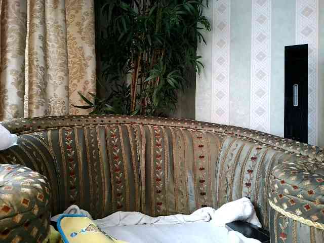 Honeykrisspussy webcam