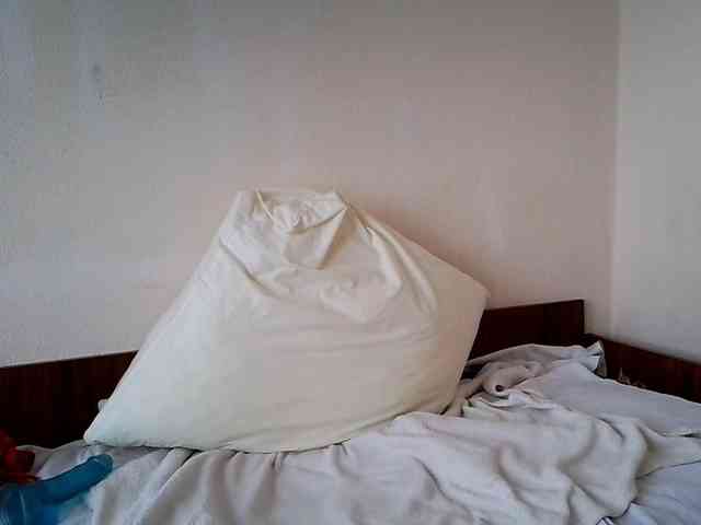 Honeykrisspussy webcam