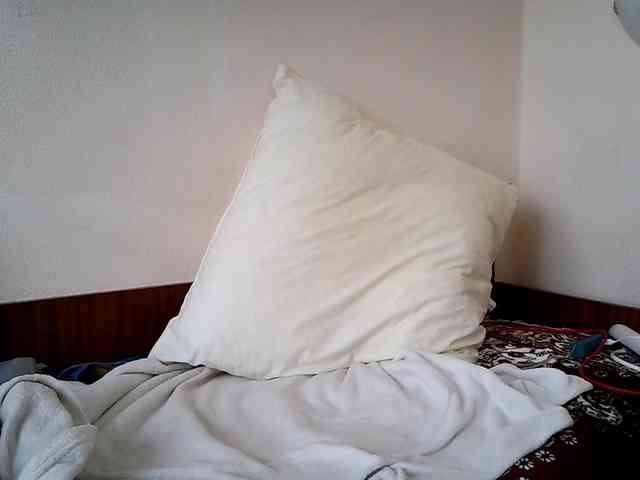 Honeykrisspussy webcam