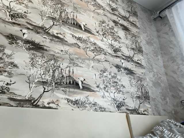 annamaria22 live show