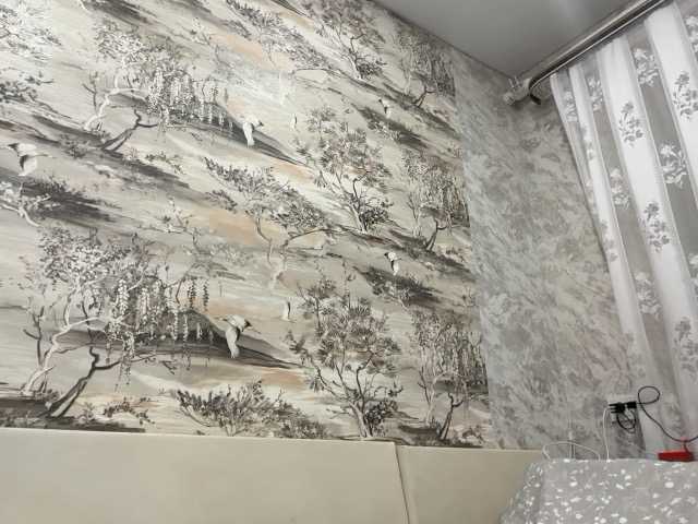 annamaria22 live show