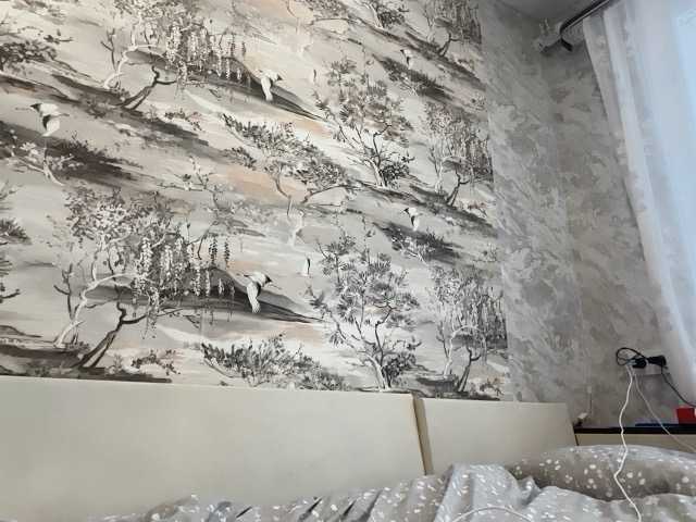 annamaria22 live show