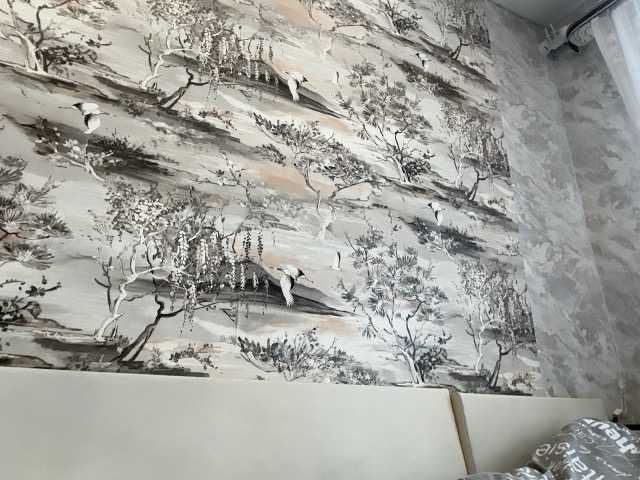 annamaria22 live show