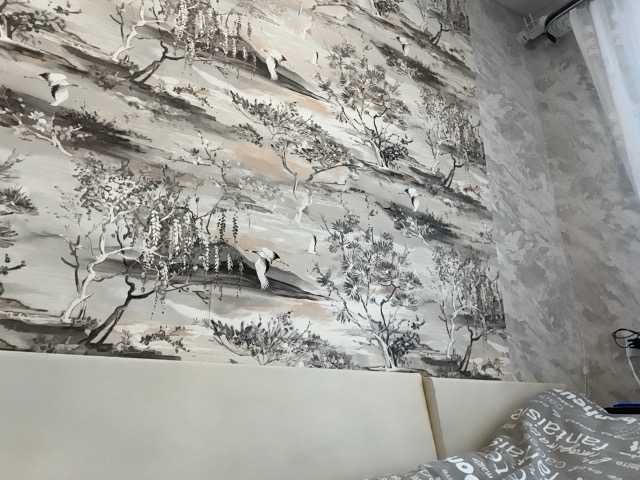 annamaria22 live show