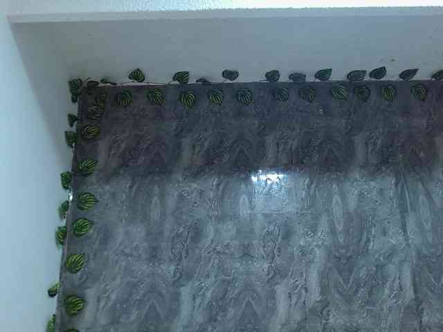 alunnaclarkcm101 webcam