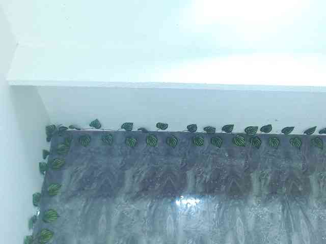 alunnaclarkcm101 webcam