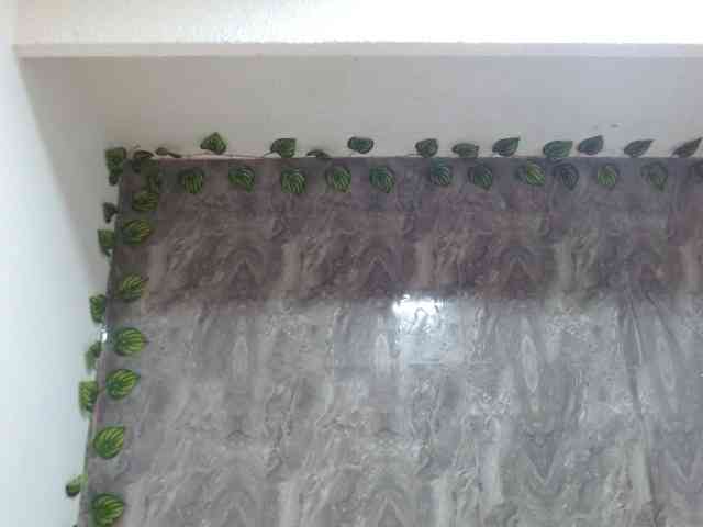 alunnaclarkcm101 webcam