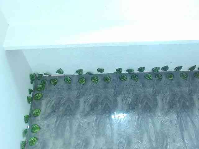 alunnaclarkcm101 webcam