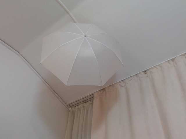 DaliaHaven's BongaCams show and profile