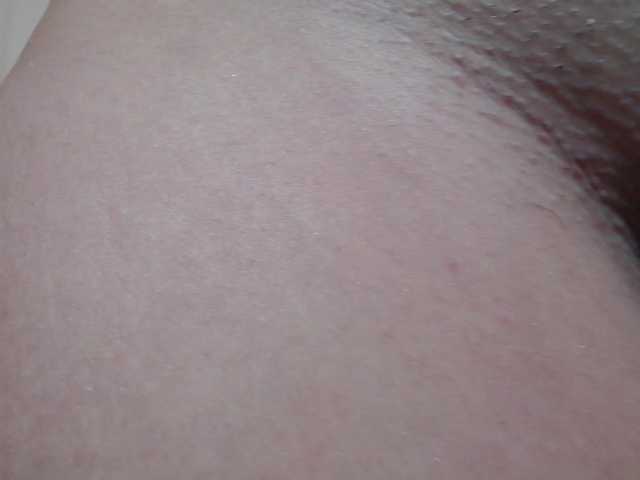 Preview of daliahaven