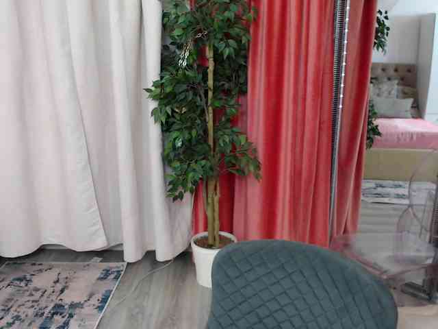 DaliaHaven Live Webcam on BongaCams