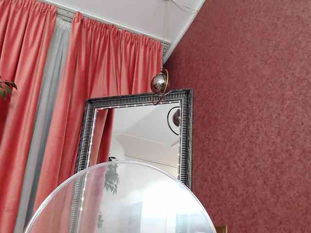 DaliaHaven DaliaHaven