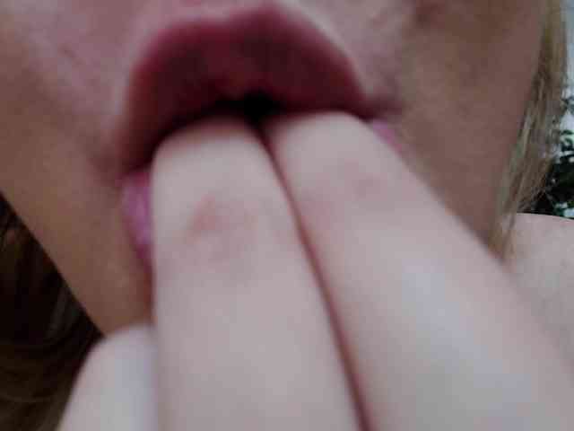 DaliaHaven DaliaHaven