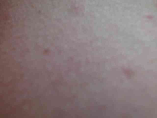 DaliaHaven DaliaHaven