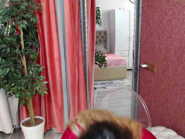 DaliaHaven DaliaHaven