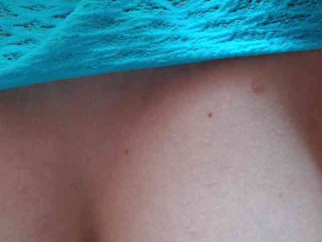 DaliaHaven DaliaHaven