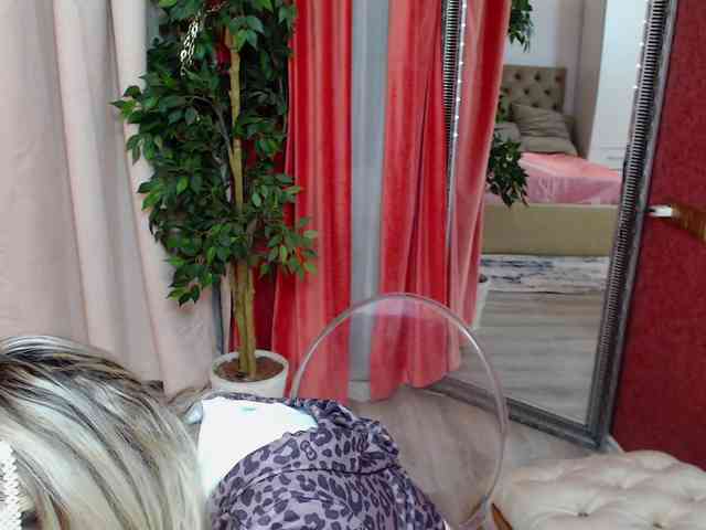 DaliaHaven DaliaHaven