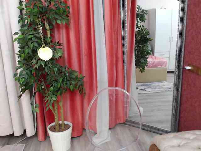 DaliaHaven DaliaHaven