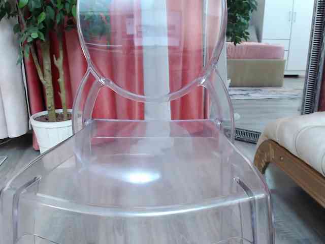 DaliaHaven DaliaHaven