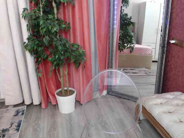 DaliaHaven DaliaHaven