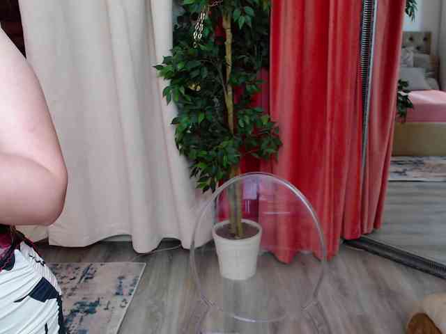 DaliaHaven DaliaHaven