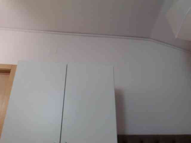 DaliaHaven DaliaHaven