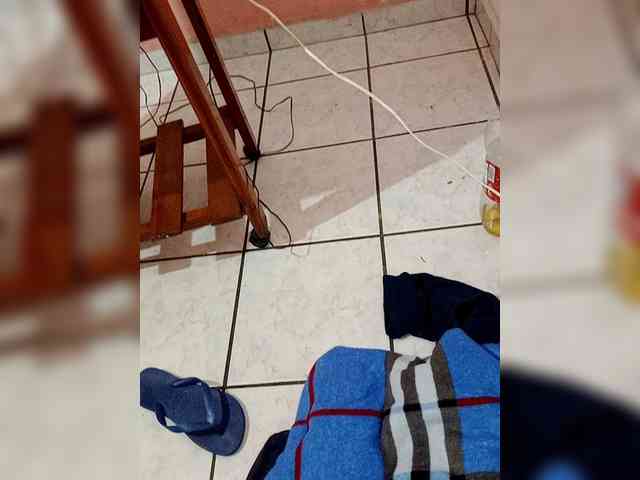 Renatovara Renatovara