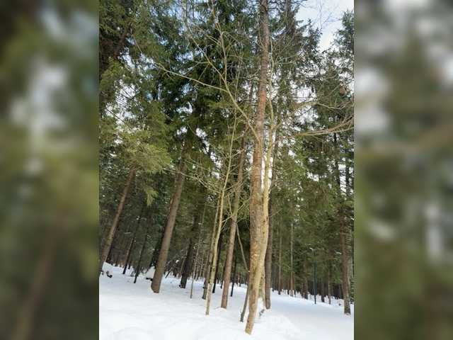 TheBESTorNOTHING's BongaCams show and profile