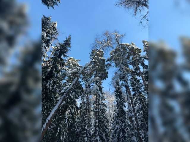 TheBESTorNOTHING's BongaCams show and profile