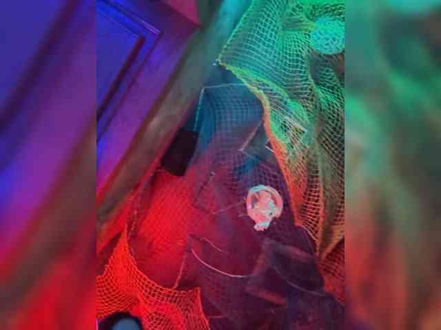 theBESTorNOTHING webcam