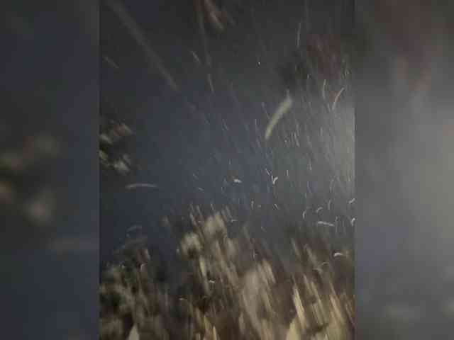 theBESTorNOTHING webcam