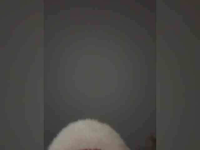 theBESTorNOTHING webcam