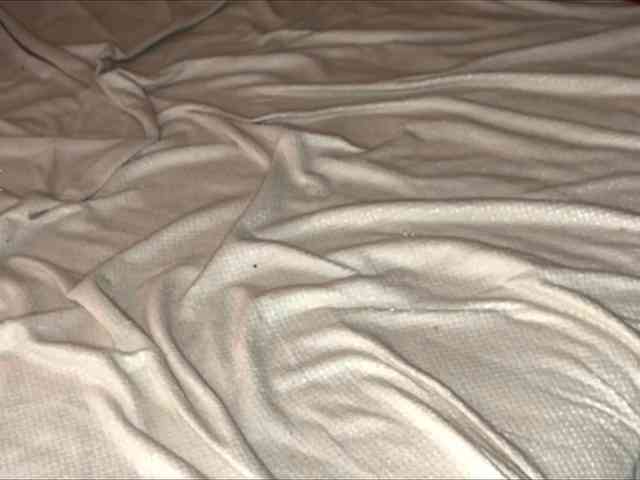 Katherine-Ross webcam