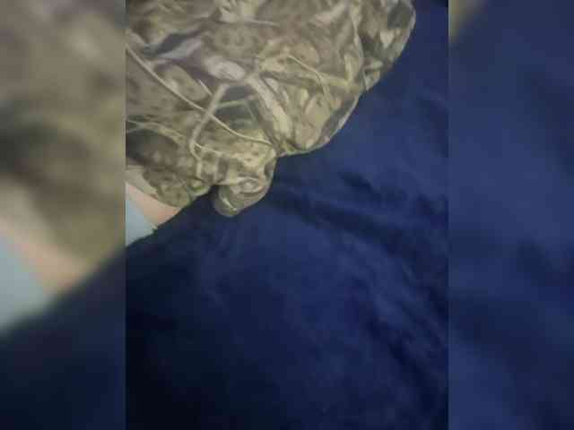 Pussyplzer Pussyplzer