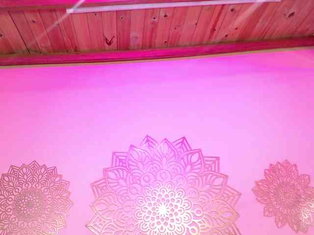 ArianaRouge Live Webcam on BongaCams