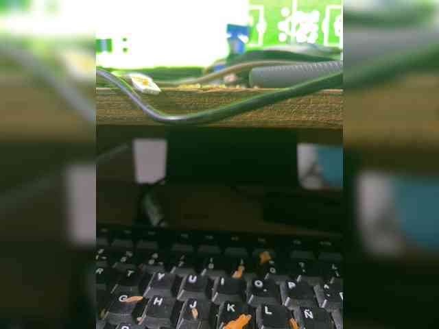 elpatrondelmal666 elpatrondelmal666