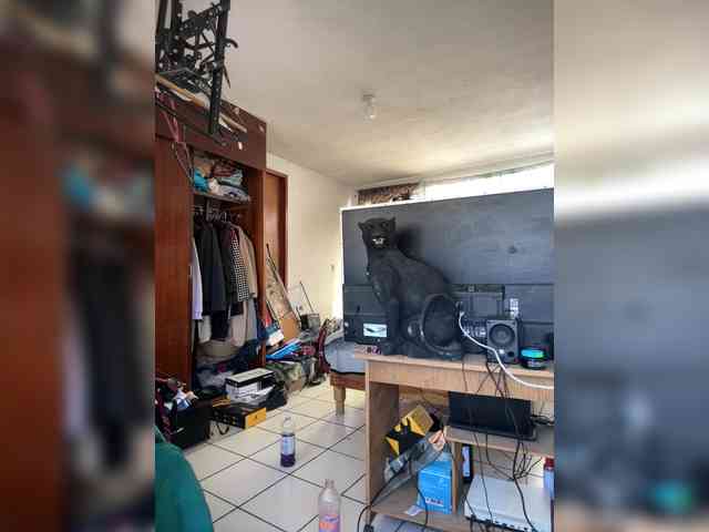 elpatrondelmal666 elpatrondelmal666