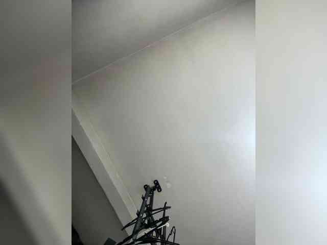 elpatrondelmal666 elpatrondelmal666