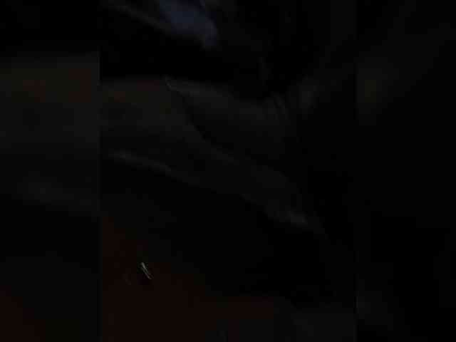 AngelStarShine1 webcam