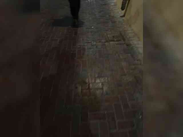 AngelStarShine1 webcam