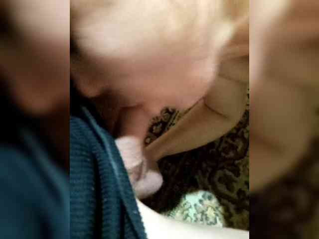 ANDROID431 ANDROID431