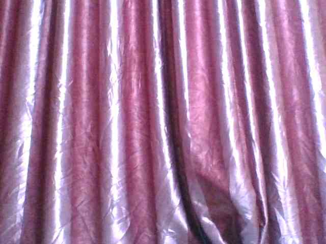 Blackbeauty001 webcam