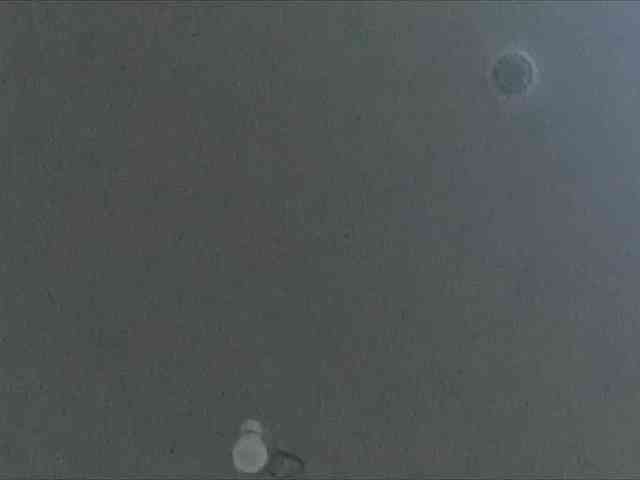 Twohotguys Twohotguys