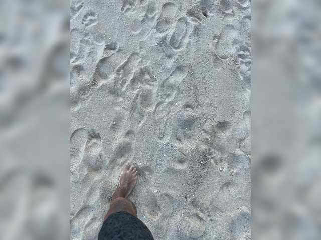 VolnaV's BongaCams show and profile