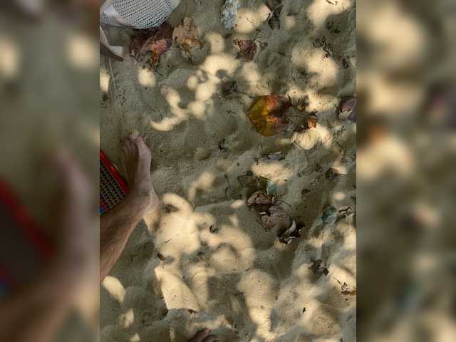 VolnaV's Thumb Image