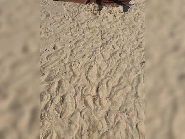 VolnaV – webcam model profile photo