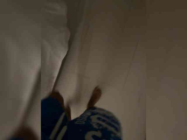 porn cam live VolnaV