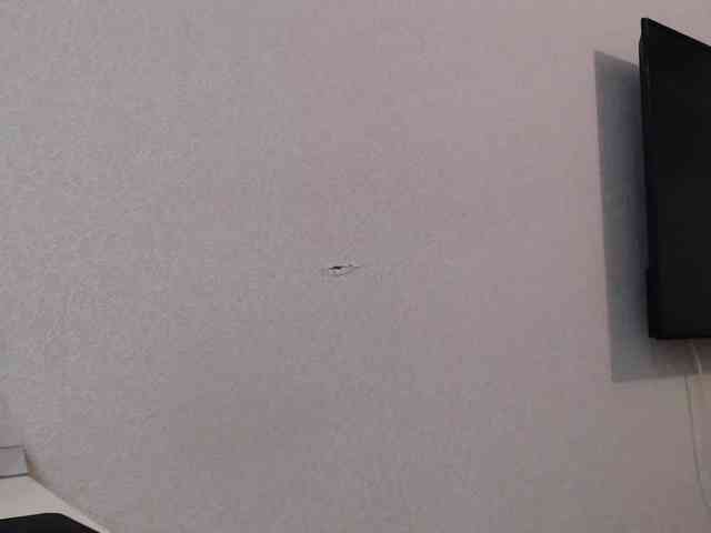 RussianBlackBaby webcam