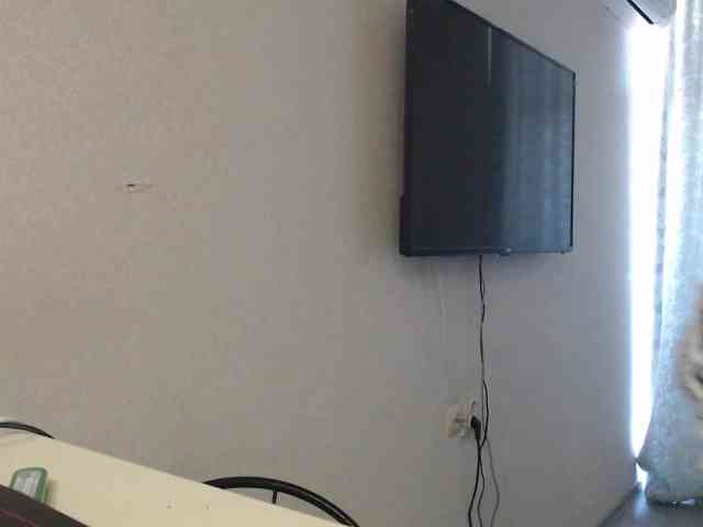 RussianBlackBaby webcam