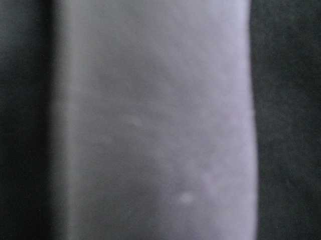 SalaChan live cam profile